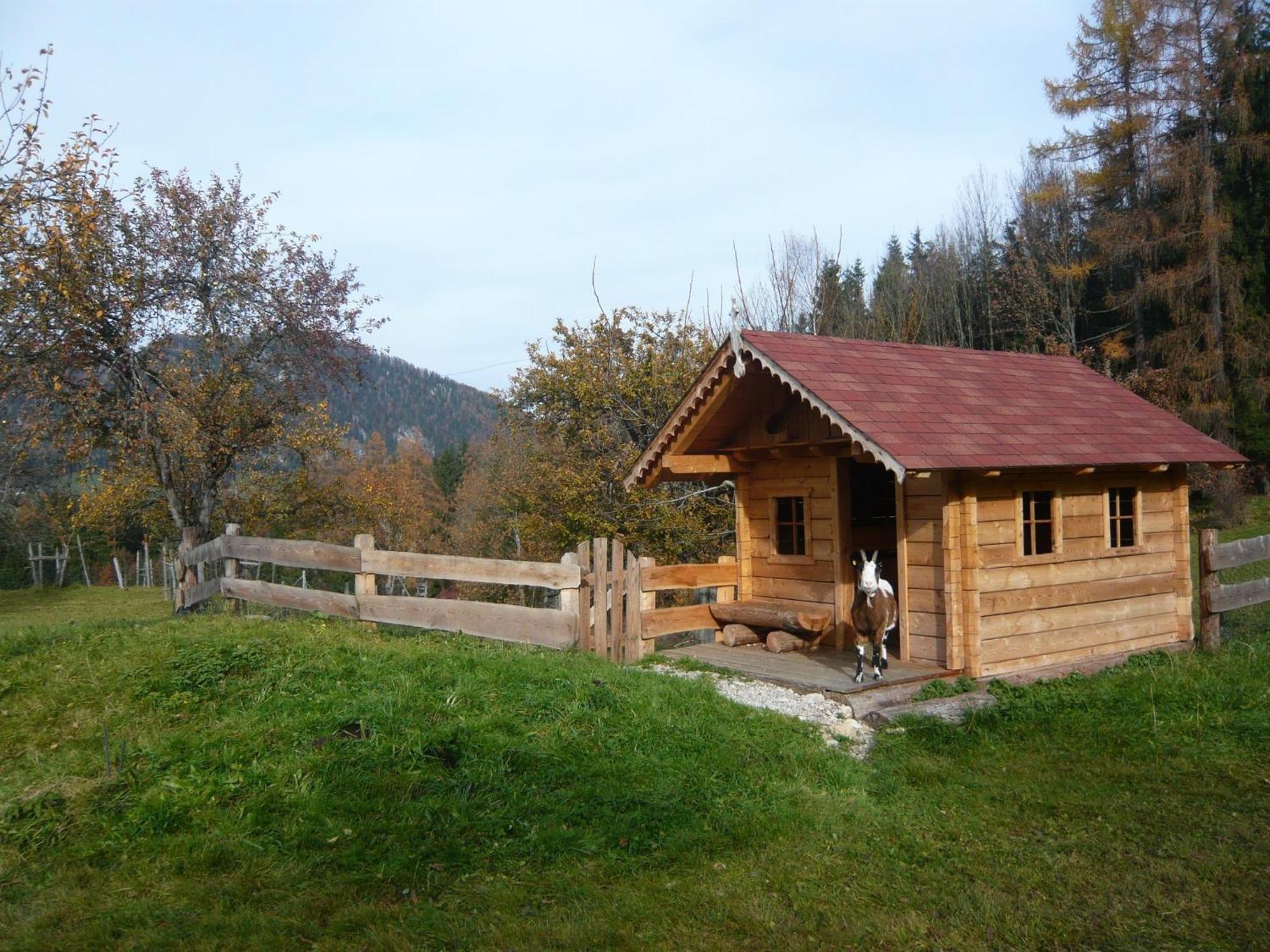 Farm stay Grossgrub Vorderstoder